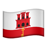 flag-gi