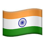 flag-in