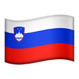 flag-si
