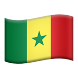 flag-sn