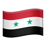 flag-sy