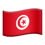 flag-tn