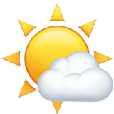 mostly_sunny