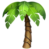 palm_tree