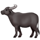 water_buffalo