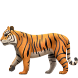 tiger2