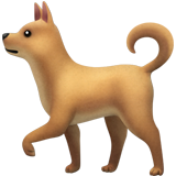 dog2