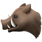 boar