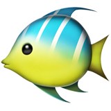 tropical_fish