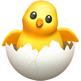 hatching_chick