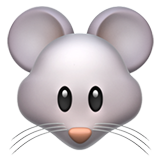 mouse