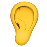 ear