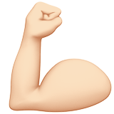 muscle
