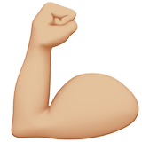 muscle