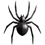 spider