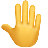 raised_back_of_hand