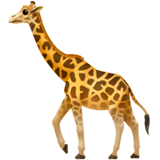 giraffe_face
