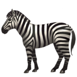 zebra_face